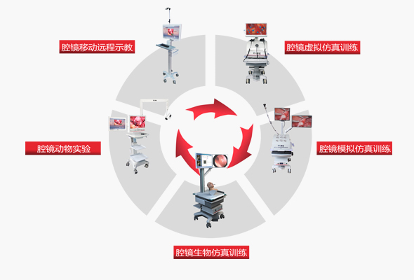 ��������(�й���)�ٷ���վ