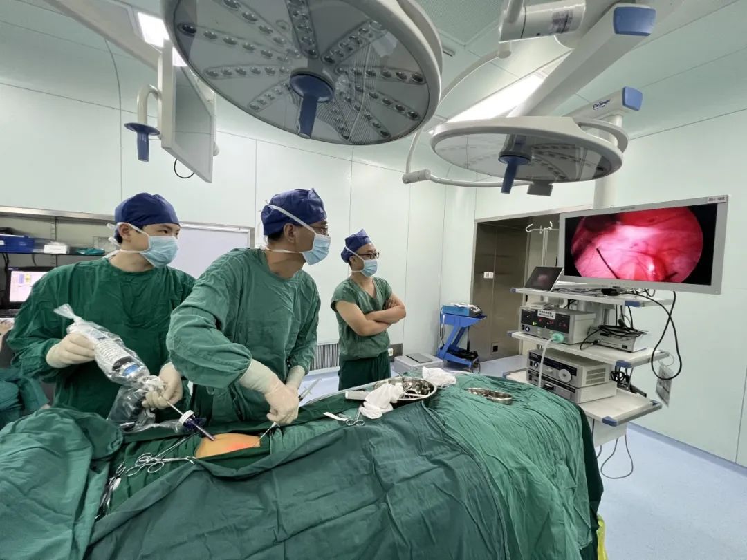 ��������(�й���)�ٷ���վ