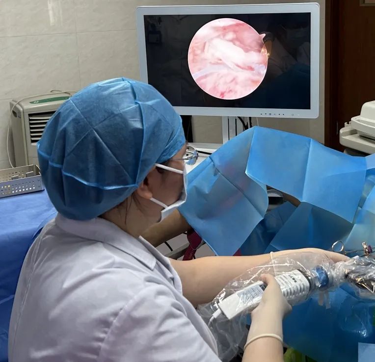 ��������(�й���)�ٷ���վ