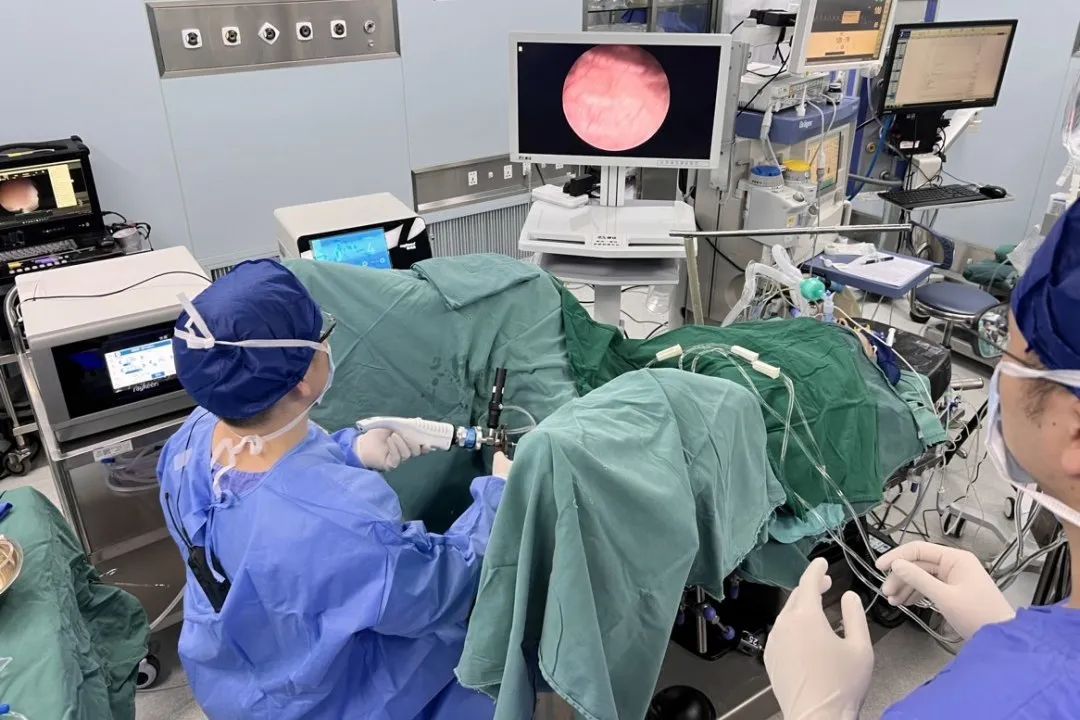 1677477581988794.jpg 微信图片_20230227111802.jpg